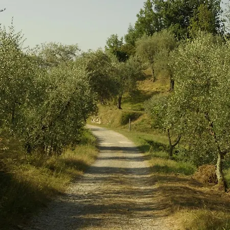 Vakantiehuis Aramo Verde *